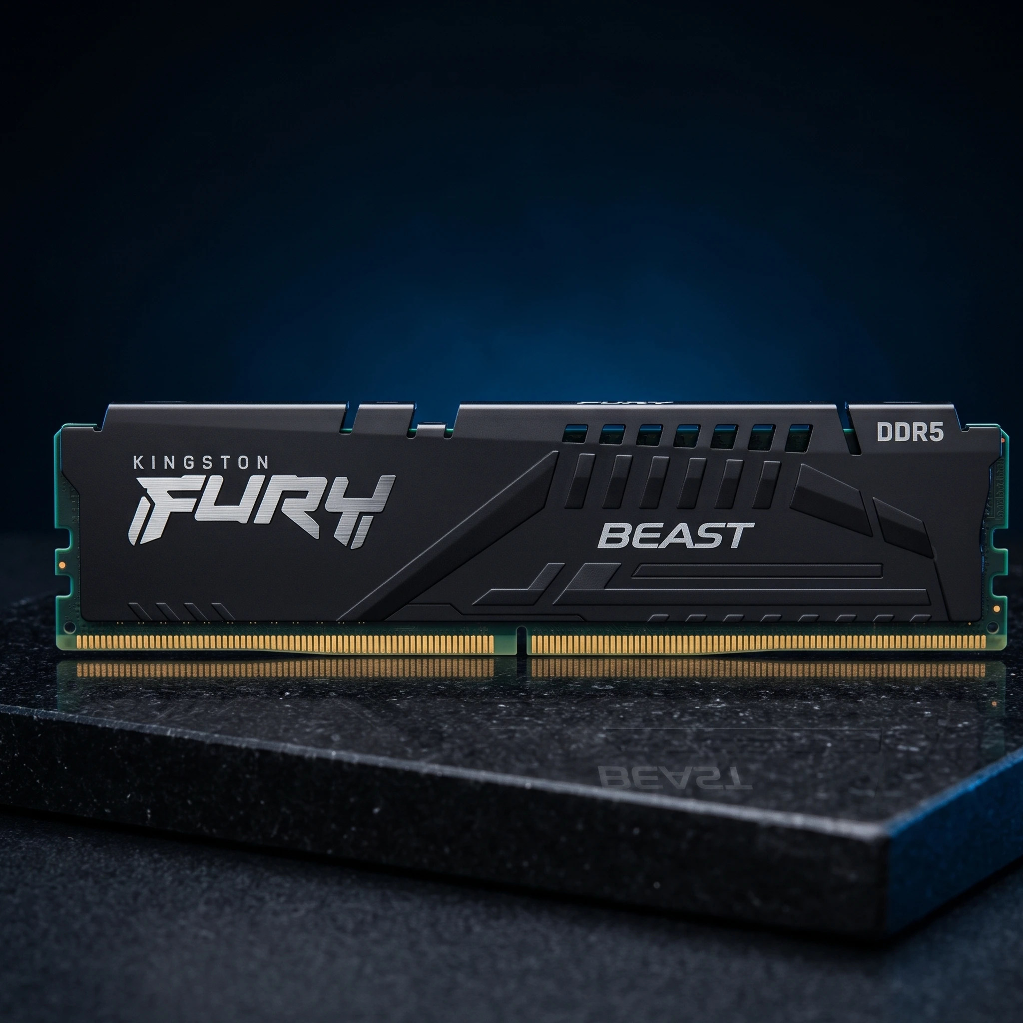 Kingston Fury Beast 16 GB DDR5-5600 (single) — Memory (RAM)